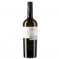 Sauvignon photo